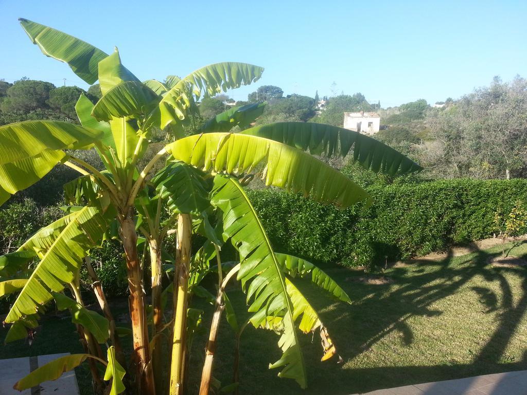 Bed and Breakfast Casa Cereja 'Adults Only' Albufeira Exterior foto