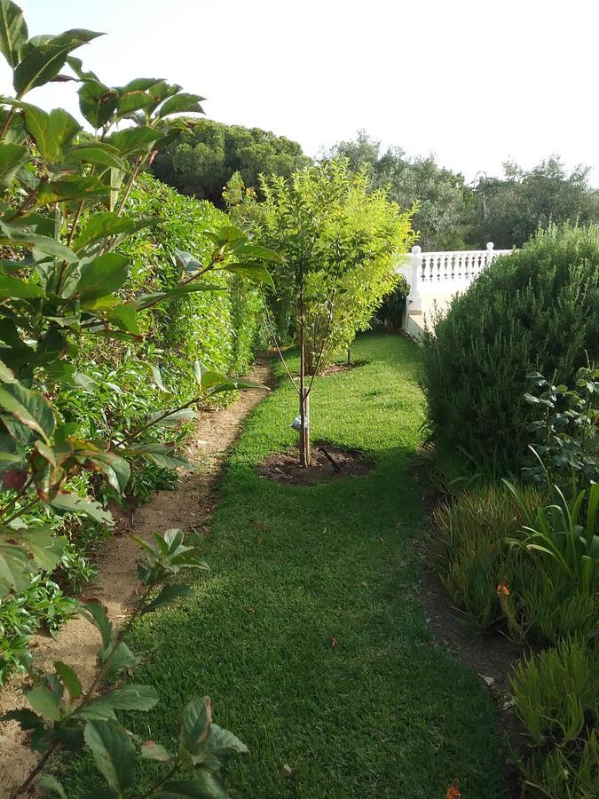 Bed and Breakfast Casa Cereja 'Adults Only' Albufeira Exterior foto